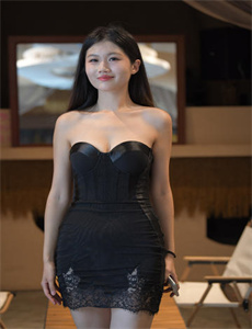 《我父亲的女保姆是我的首选电视剧-侠岚第四季》