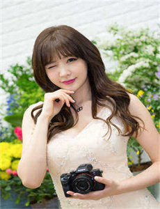 《侠岚第五季-春雨影院观看免费播放电视剧》